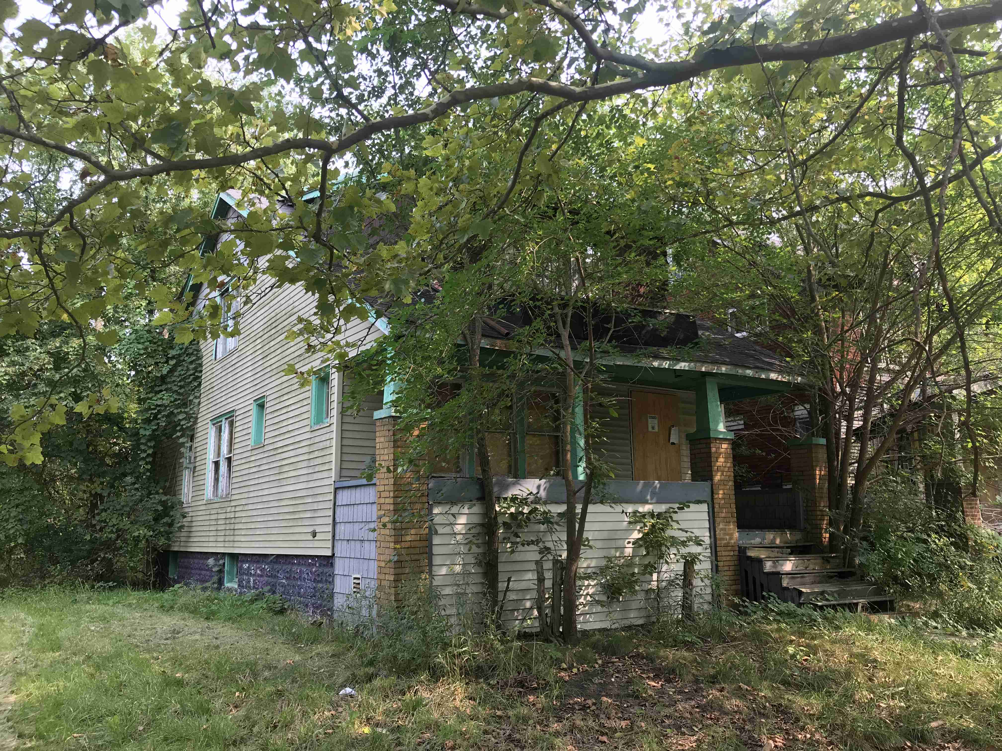 Photo Sep 15, 3 15 15 PM (1).jpg